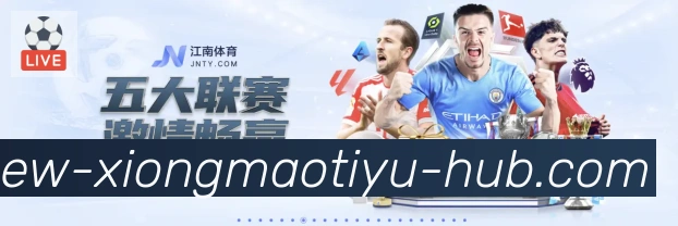 登录器